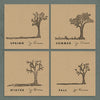 Jon Foreman - Seasons EP's 2nd Pressing Collectors CD Bundle